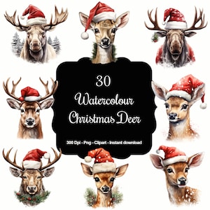 Festliche Waldfreunde: 30 Aquarell Hirsche, Elche, Elche & Rentiere mit Weihnachtsmützen Clipart Set