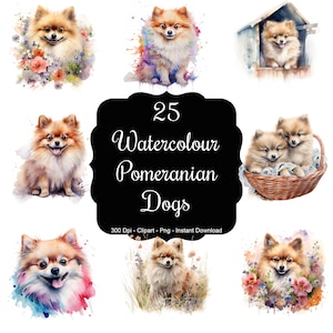 Pom Pals: 25 Aquarell Spitzhunde Clipart Set