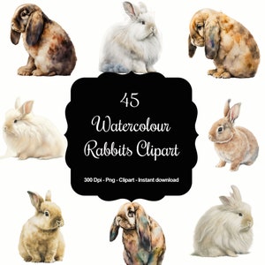 45 conejos de acuarela, enanos, angora, lop, imágenes prediseñadas de alta calidad, descarga instantánea, 300 ppp, archivos PNG transparentes, uso comercial