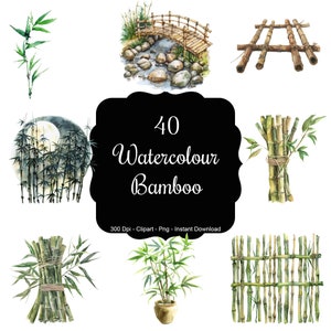 Op de afbeelding: Een set van 40 aquarel illustraties van bamboe planten, takken en structuren. De illustraties omvatten een bamboe brug over een beek, een bamboe hek, een bundel bamboestokken en een gepotte bamboeplant.
