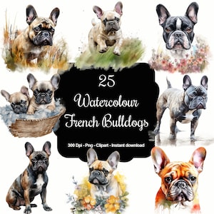 Parisienses encantadores: conjunto de clipart de 25 buldogues franceses em aquarela