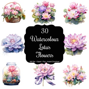 Flores serenas: conjunto de 30 imágenes prediseñadas de flores de loto en acuarela