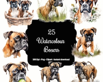 May include: A set of 25 watercolor illustrations of Boxer dogs in various poses. The illustrations are in a realistic style and feature the dogs in different settings, including a basket, grass, and water. The text "25 Watercolor Boxers" is displayed in the center of the image.