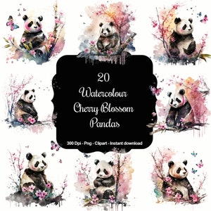 Blossom Buddies: conjunto de clipart de 20 pandas em flor de cerejeira em aquarela