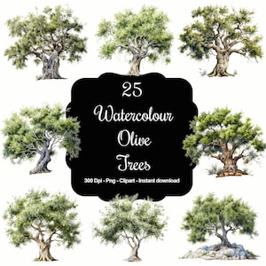 Mediterranean Whispers: 25 Watercolor Olive Trees Clipart Set