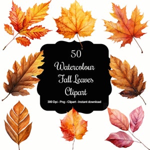 Autumn Whisper: Colección de 50 imágenes prediseñadas de hojas de otoño en acuarela
