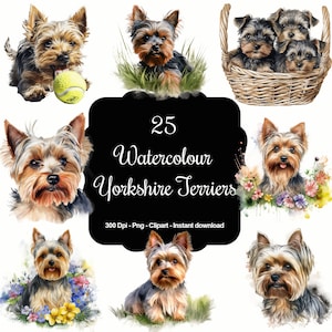 25 Watercolour Yorkshire Terrier Dogs Clipart Bundle, High Quality Clipart, Instant Download, 300 Dpi, Transparent PNG Files, Commercial use