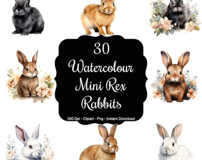 Svg Rex Rabbit Face MINI REX Dwarf RABBIT Svg, Small Bunny Mini Rex Svg Files for Cricut ...