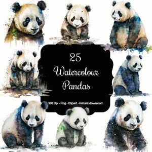 25 aquarel panda's, hoogwaardige clipart, direct downloaden, 300 dpi, transparante png-bestanden, commercieel gebruik