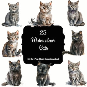 25 Aquarell realistische Katzen, hochwertige Clipart, Sofort Download, 300 Dpi, transparente PNG-Dateien, kommerzielle Nutzung