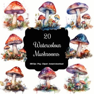 Zauberwald: 20 Aquarell Pilze Clipart Set