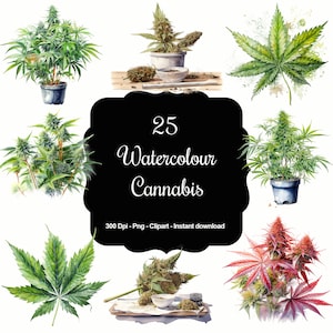 Harmonie à base de plantes : ensemble de 25 cliparts aquarelles de cannabis