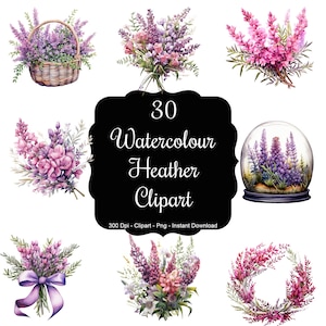 Highland Whispers: 30 Watercolour Heather Bunches, Wreaths, and Bouquets Clipart Set