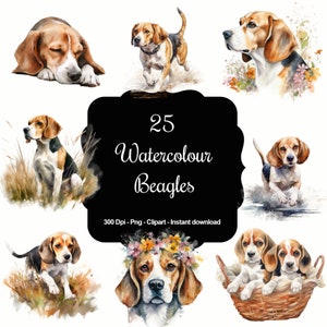 Compañeros encantadores: conjunto de imágenes prediseñadas de 25 Beagles en acuarela