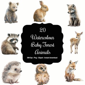 20 bébés animaux de la forêt aquarelle, haute qualité Clipart Png, téléchargement immédiat, 300 dpi, fichiers PNG individuels