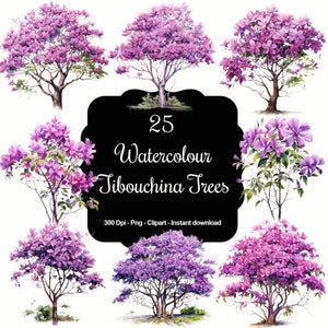 Violet Visions: Kolekcja 25 akwarelowych rysunków drzew tibouchina, idealnych do projektów inspirowanych naturą, wyjątkowych elementów wzornictwa i nie tylko!