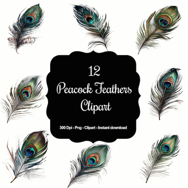 12 Peacock Fearthers, Individual Feathers, High Quality Clipart, Instant Download, 300 Dpi, Transparent PNG Files, Commercial use