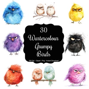 Feathered Frowns: 30 Watercolour Grumpy Birds Clipart Set