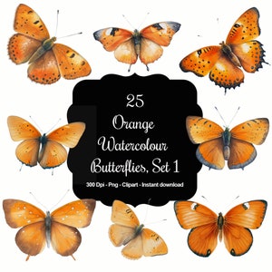 Citrus Flight Set 2: Coleção de clipart de borboleta aquarela laranja 25