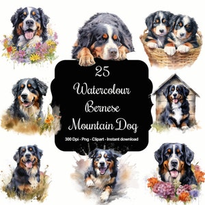 Berg Canine Majesty: 25 Aquarell Berner Sennenhunde Clipart-Bundle