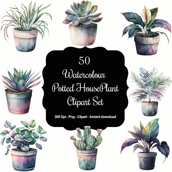 Ultimate Watercolor Houseplant Clipart Bundle - 50 Vibrant Designs of Spider Plants, Succulents, Aloe Vera & More - Instant Download