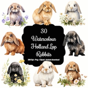 Lop-eared Lovelies: 30 Watercolour Holland Lop Rabbits Clipart Set