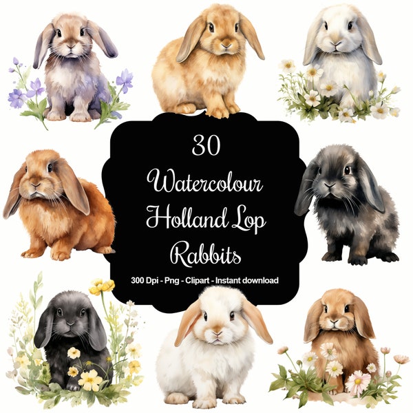 Lovelies de orejas caídas: Conjunto de imágenes prediseñadas de 30 conejos Holland Lop en acuarela