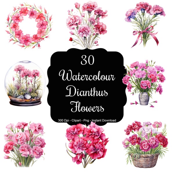 Dianthus Delight: 30 Watercolour Dianthus Flowers Clipart Set