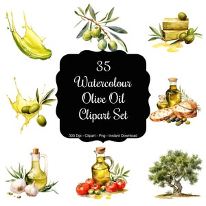 Olive Essence: 35 set di clipart di immagini di olio d'oliva ad acquerello