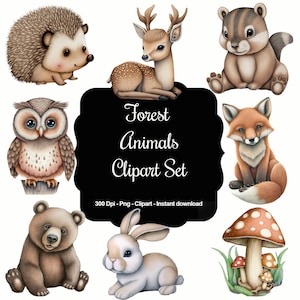 Whimsical Woods: 35 bos- en bosdieren en -elementen clipartset