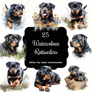 Rottweiler-uitstraling: 25 aquarel rottweiler-clipartsets