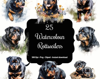 May include: A set of 25 watercolor illustrations of Rottweilers in various poses. The illustrations are in a painterly style with soft edges and a watercolor wash. The text "25 Watercolor Rottweilers" is displayed in a black banner.