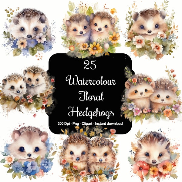 Springtime Spikes: 25 Watercolour Spring Floral Cute Baby Hedgehogs Clipart Set