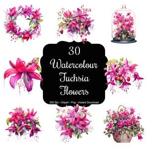 Fuchsia Fantasy: 30 Watercolour Fuchsia Flowers Clipart Set