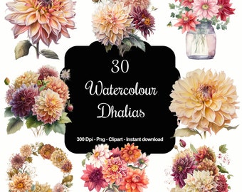 May include: A set of 30 watercolor illustrations of dahlias in various colors and arrangements. The illustrations include single dahlias, bouquets, and wreaths. The text "30 Watercolor Dahlias" is displayed on a black banner.