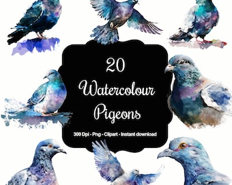 City Whispers: 20 Watercolour Pigeon Clipart Set