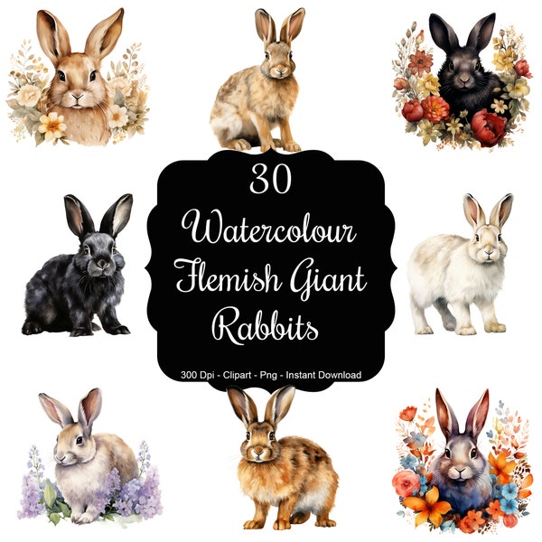 Gentle Giants: 30 Watercolour Flemish Giant Rabbits Clipart Set