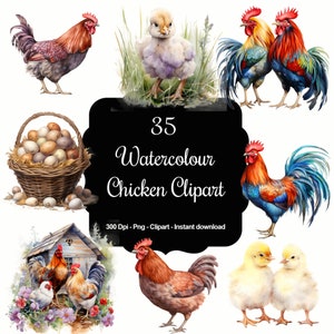 Country Charm: 35 aquarel kip clipartset