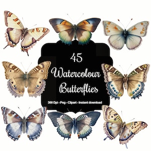 Ailes fantaisistes : 45 papillons aquarelles