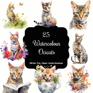 Spotted Whimsy: 25 Aquarell Ocicats Clipart Set