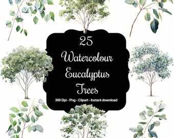 Verdant Whispers: 25 Watercolour Eucalyptus Tree Clipart Collection Perfect for Nature Inspired Projects, Unique Design Elements & More!