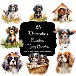 25 Cavalier King Charles aquarelle, clipart haute qualité, téléchargement immédiat, 300 dpi, fichiers PNG transparents, usage commercial