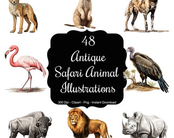 Safari Antiquity: 48 Antique Safari Animal Illustrations Clipart Set