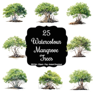 Murmures de mangrove : ensemble de 25 cliparts aquarelles de palétuviers