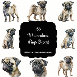 25 Watercolour Pugs, High Quality Clipart, Instant Download, 300 Dpi, Transparent PNG Files, Commercial use