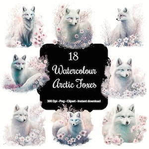 18 renards arctiques aquarelles, clipart haute qualité, décoration de Noël, téléchargement immédiat, 300 dpi, fichiers PNG transparents, usage commercial