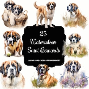 Gentle Giants: 25 Aquarell Bernhardiner Clipart Set