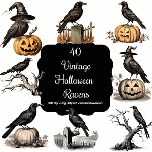 Peut inclure: Un ensemble de 40 illustrations vintage de corbeaux d'Halloween. Les corbeaux sont représentés en noir et blanc, perchés sur des citrouilles, des branches et des clôtures. L'image comprend le texte "40 Vintage Halloween Ravens 300 Dpi - Png - Clipart - Instant download".