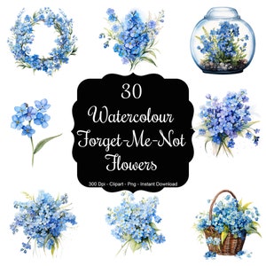 Fleurs éternelles : ensemble de 30 cliparts fleurs myosotis aquarelles