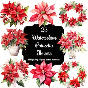 Poinsettia Perfection: 25 Watercolour Holiday Poinsettia Flowers Clipart Set